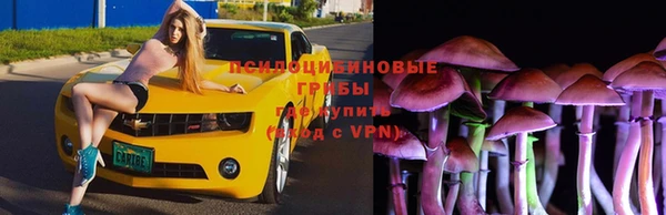 мяу мяу кристалл Баксан