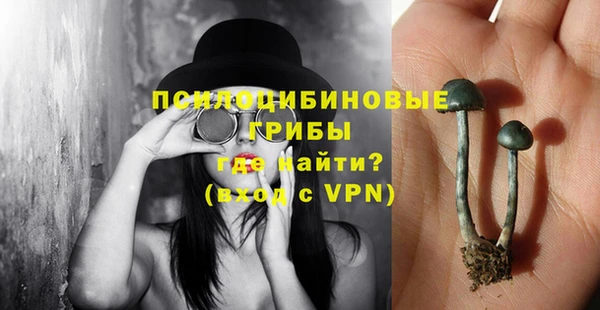 гидра Балабаново